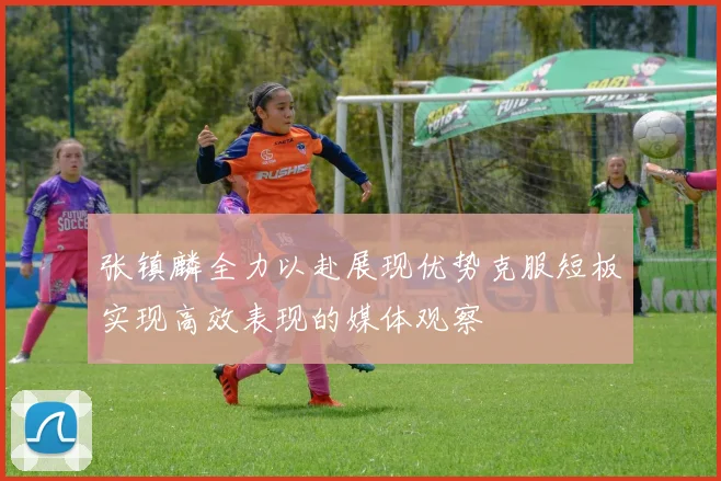 张镇麟全力以赴展现优势克服短板实现高效表现的媒体观察