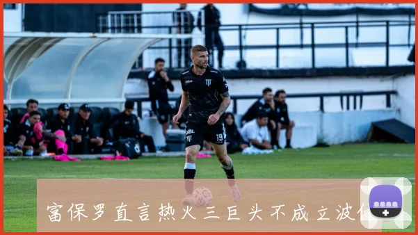 富保罗直言热火三巨头不成立波什未达特权级别引发热议